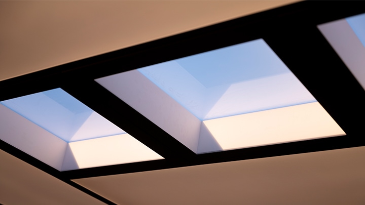 NatureConnect Transforms Grieghallen