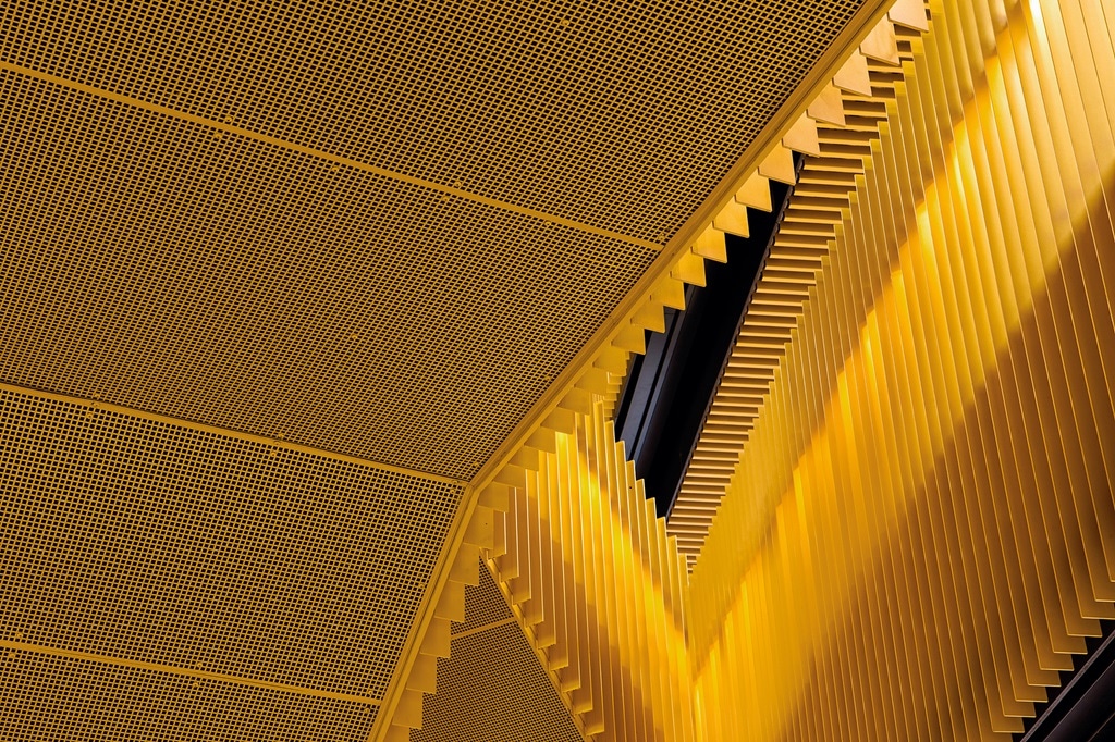 The Citizen House in Odense 