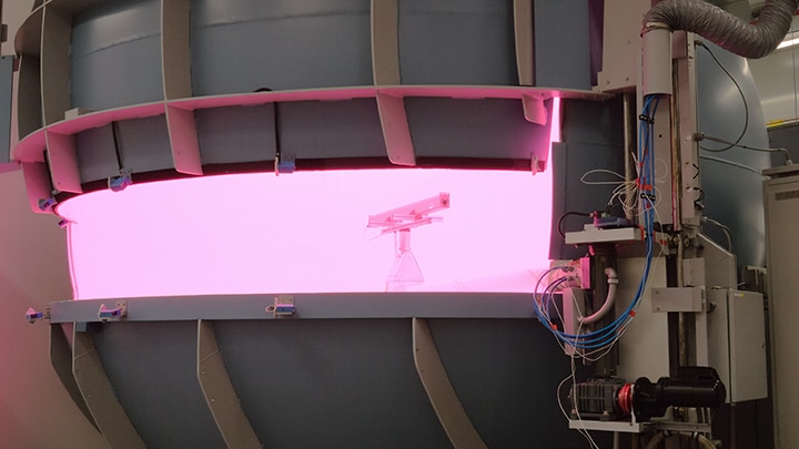 Parthesius thumbnail