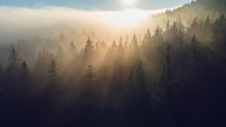 The Renovation Revolution