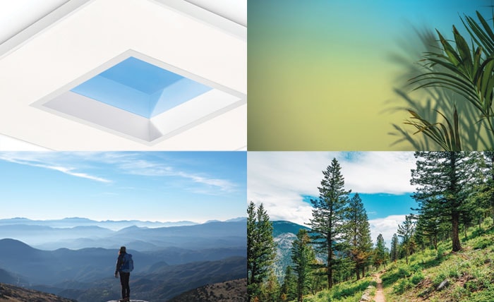 Nature Connect movie